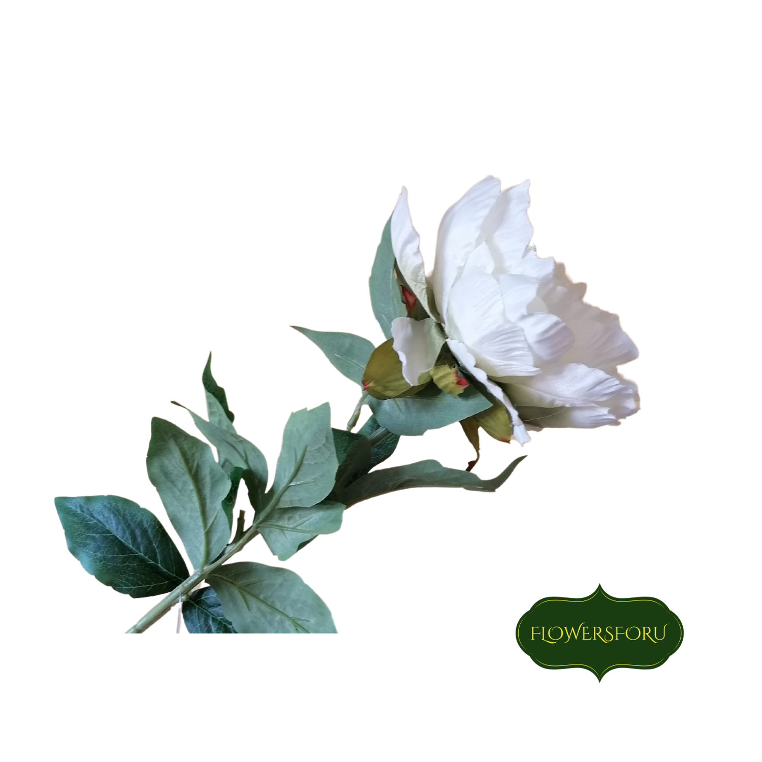 Cream plastic flower stem green leaves blooming