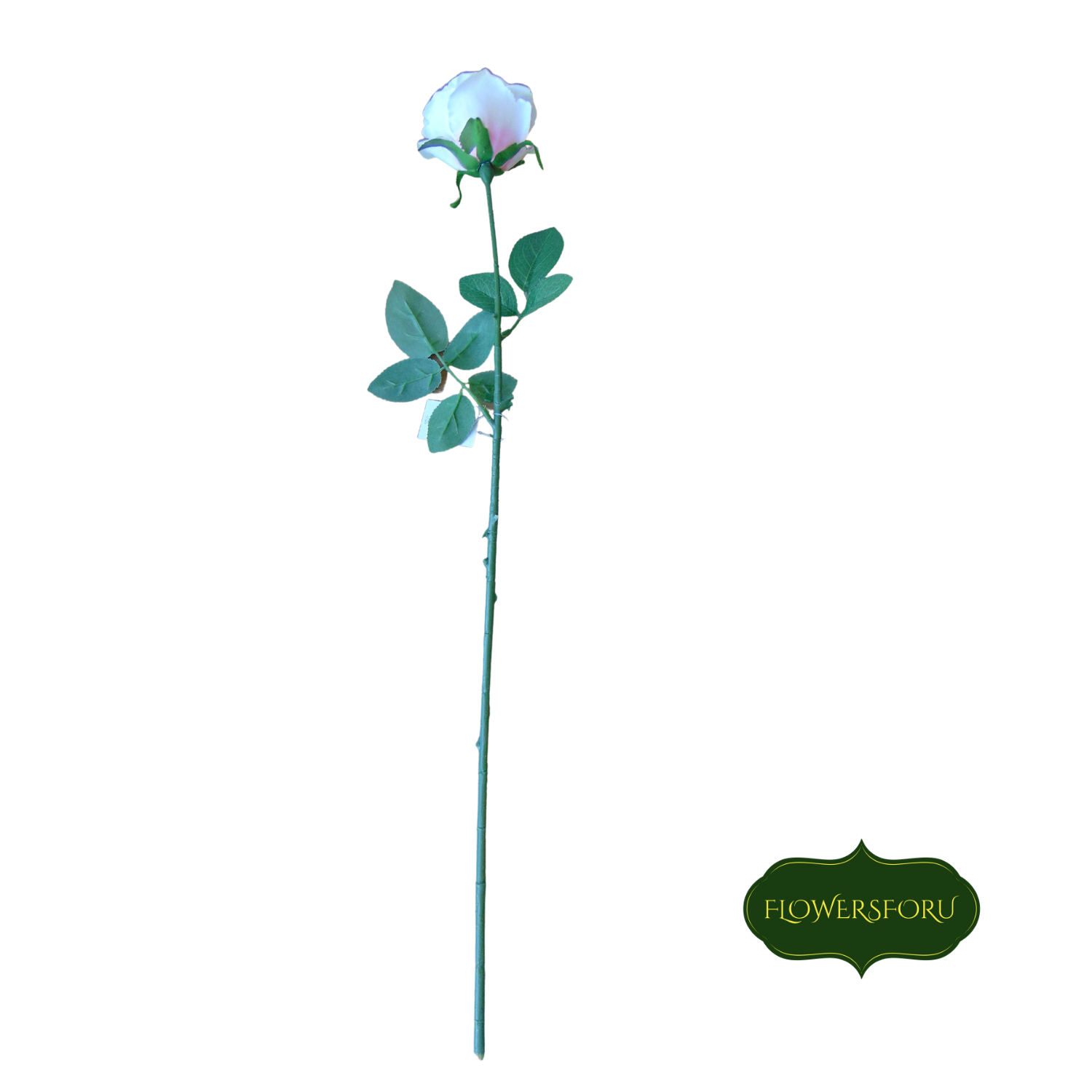 Rose 66 cm long green leaves Ivory bloom