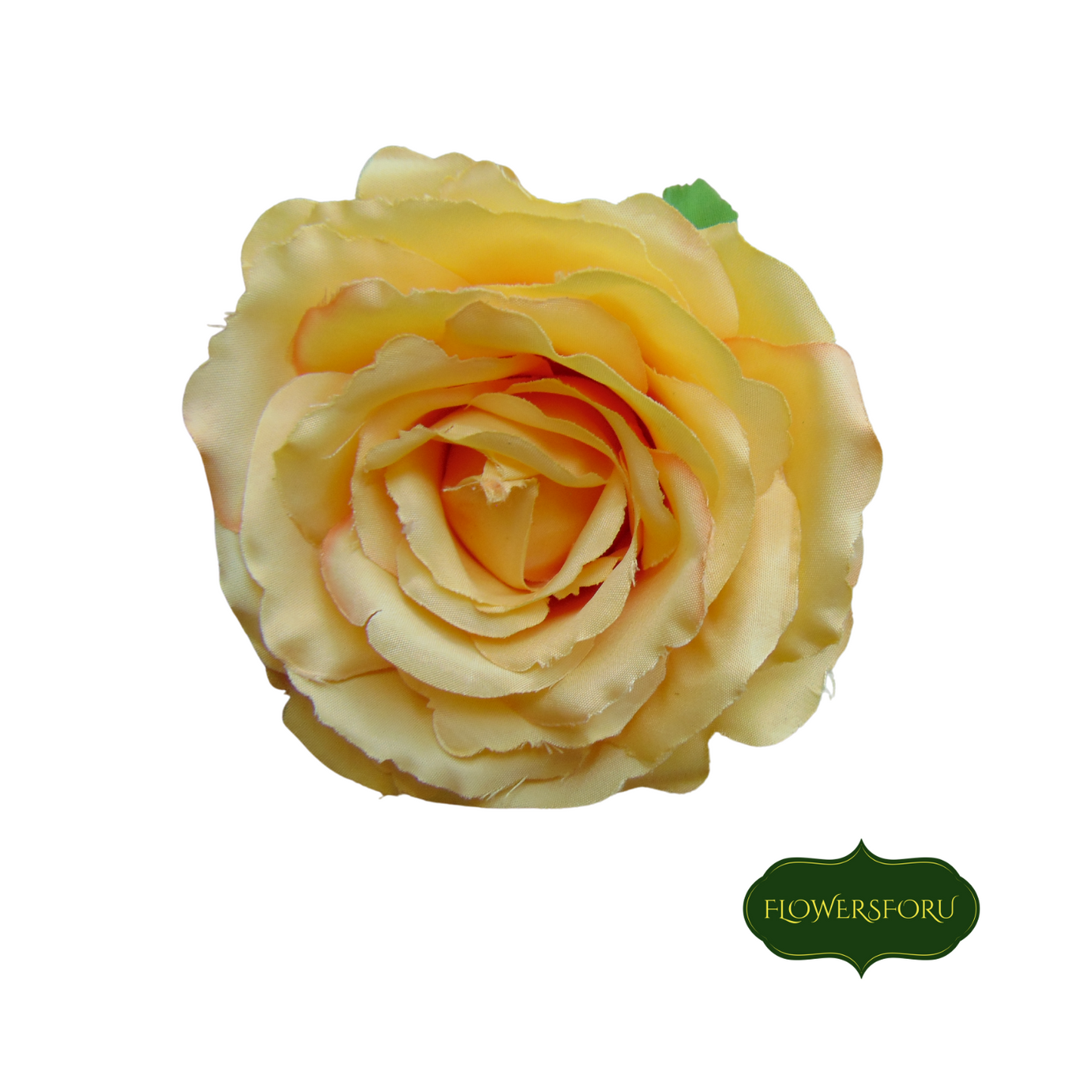 blooming rose stem 66 cm long green leaves saffron orange