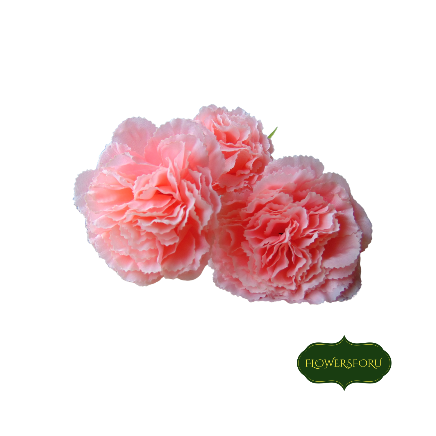 soft petals carnation peach colour 62cm long flower