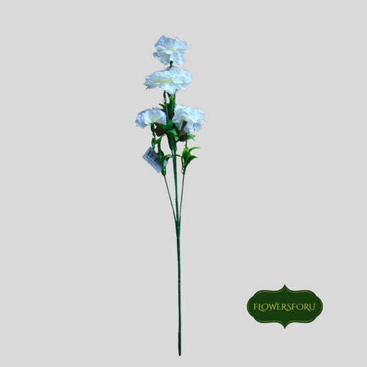 petals flower carnation white colour 62cm long  stem 5 flowers leaves light green