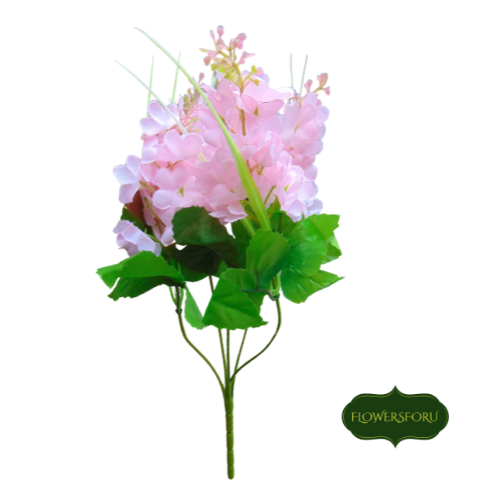 baby pink hyacinth green leaves green stem small 36cm height