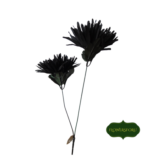 black plastic flower dahlia stem 2 flower