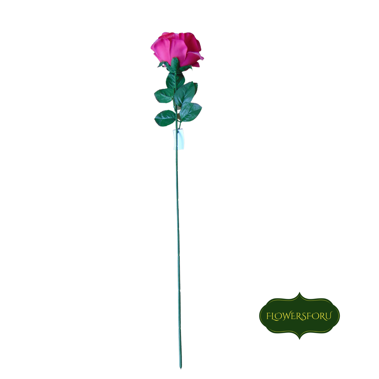 rose stem pink 73 cm long green leaves 