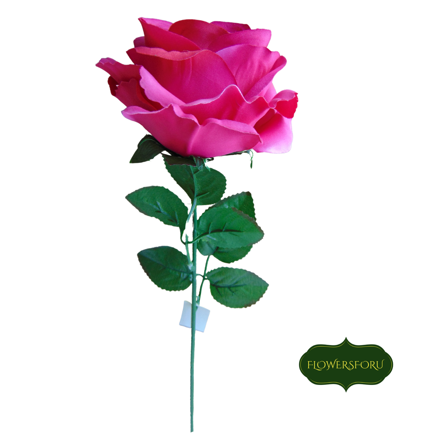 single stem flower pink rose green leaves 73 cm long 