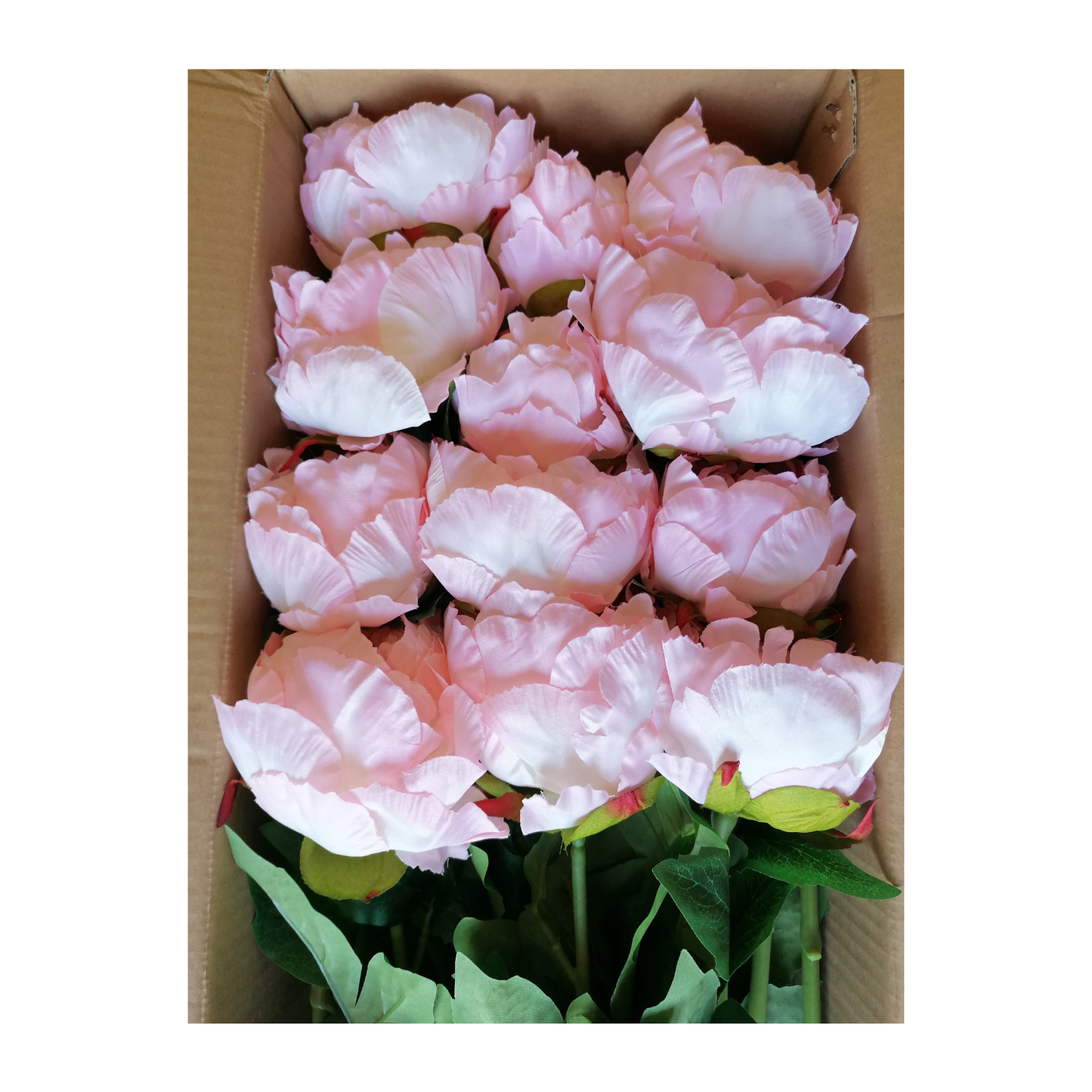 24 pcs long stem peony blooming pink flower