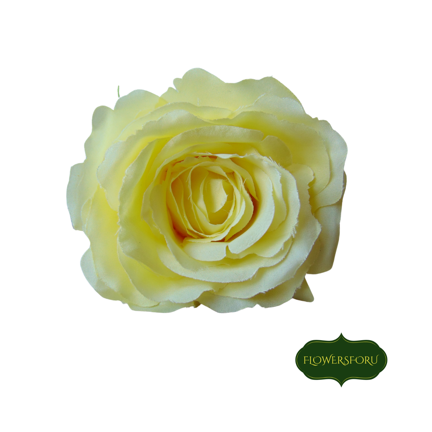 blooming rose stem flower 66 cm long green leaves petals yellow