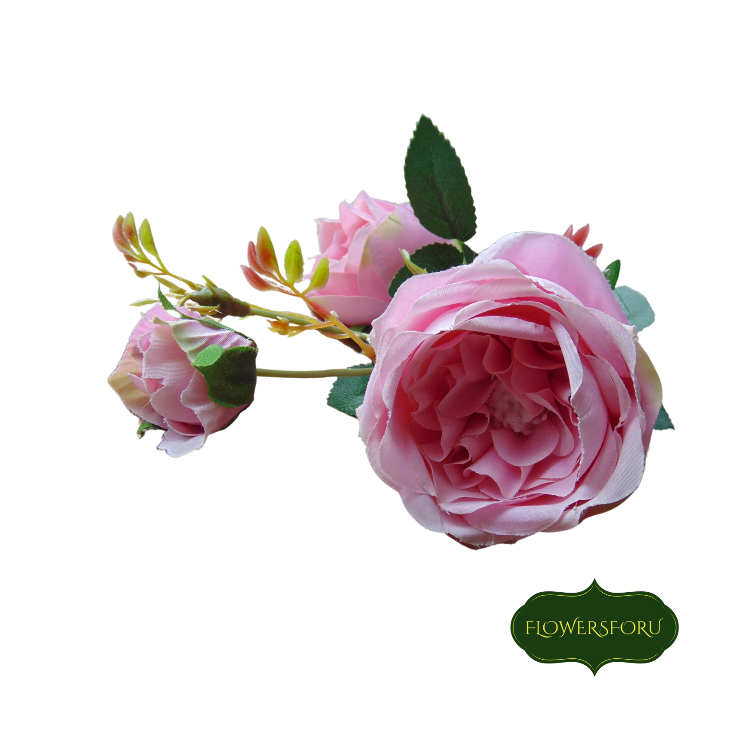 blush pink flower rose leaves green 68cm long