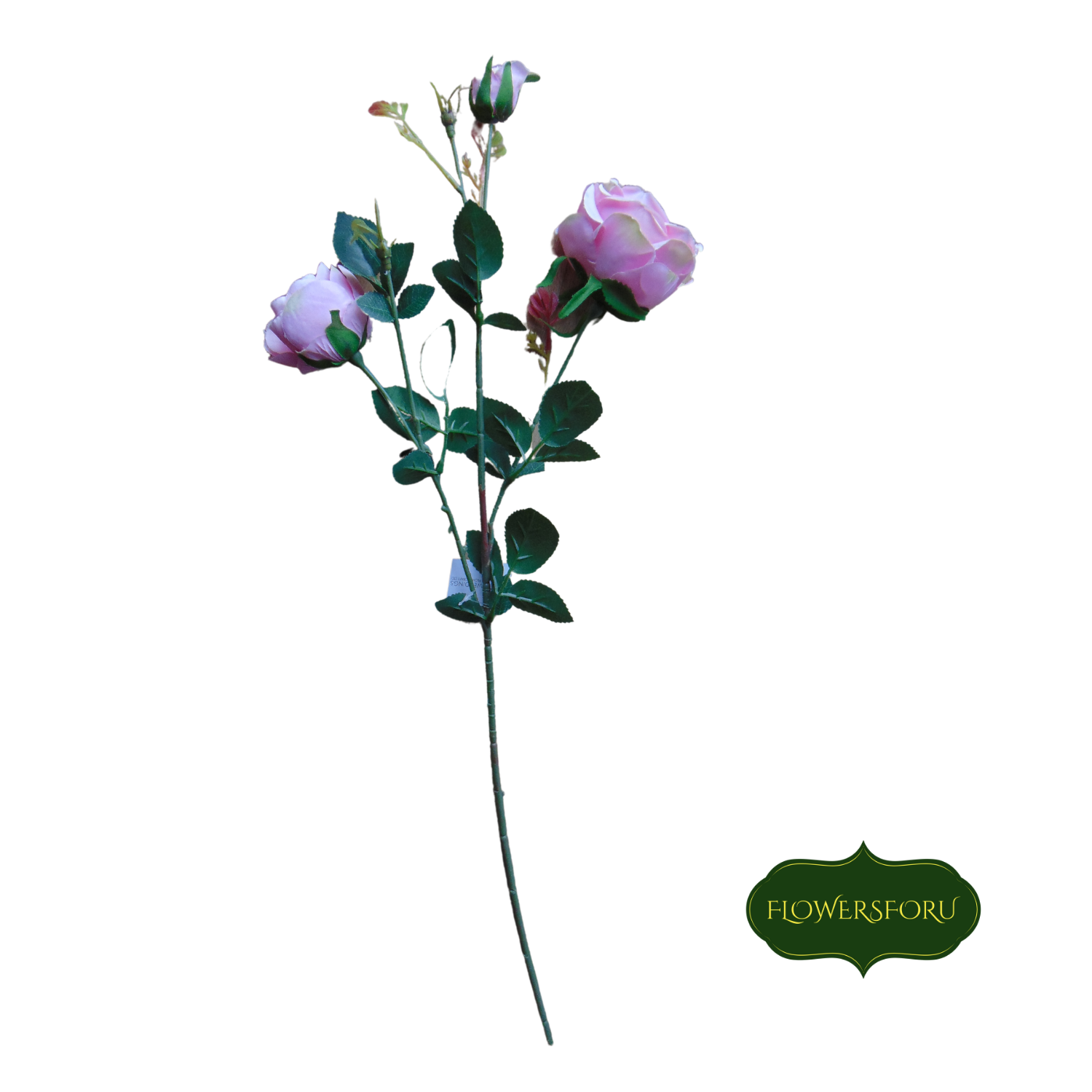 rose pink green leaves stem 68cm long