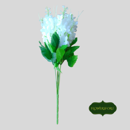 White small 34 cm height flower Hyacinth green  leaves 