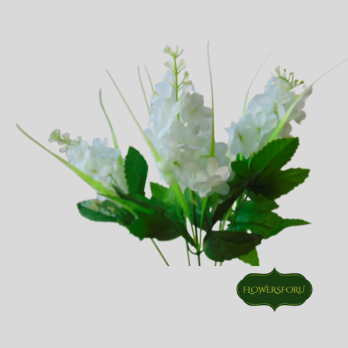 White small flower Hyacinth green stem leaves green