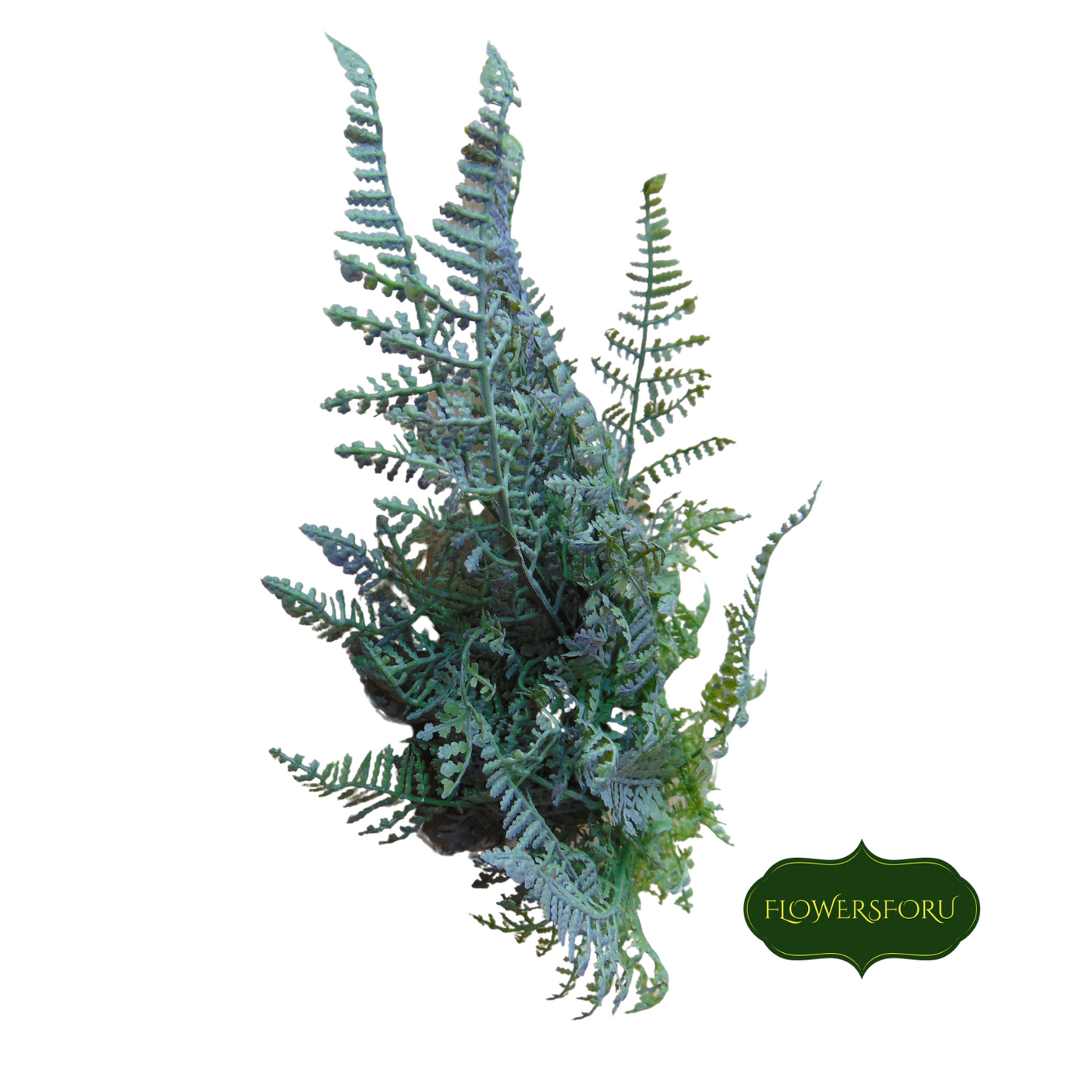 fern green forest 42cm long stem